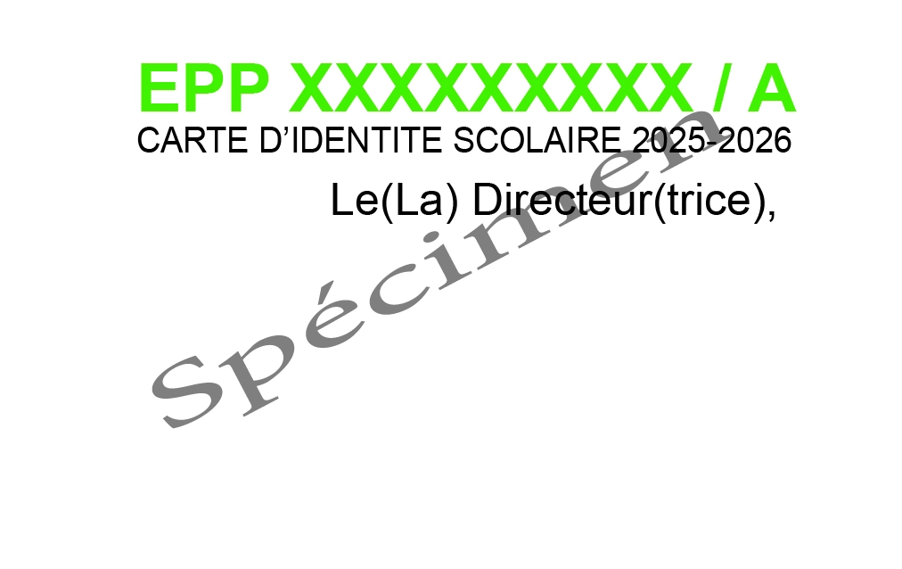 Modèle verso